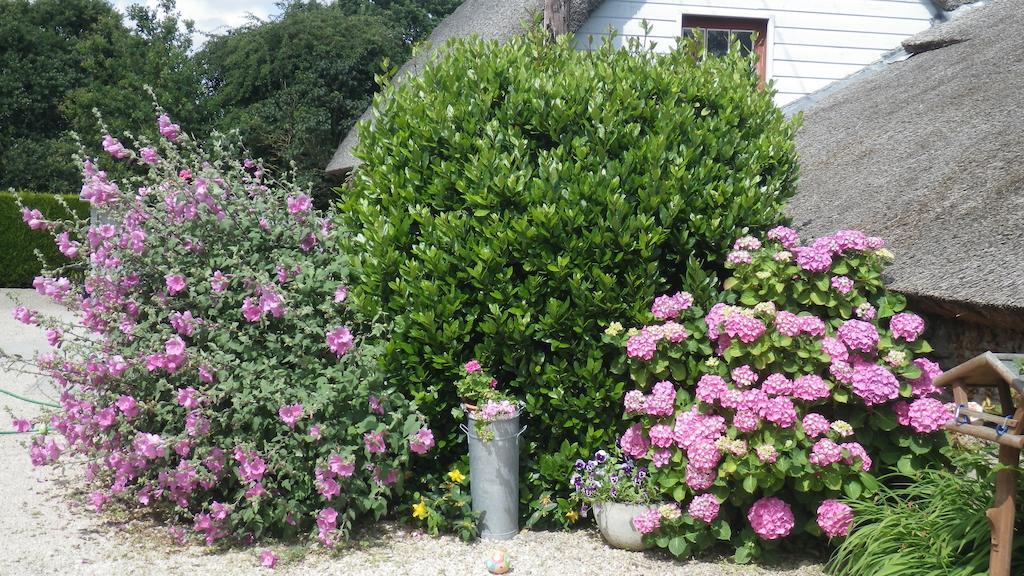 La Musardise Bed and Breakfast Guérande Eksteriør billede